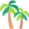 palm-tree